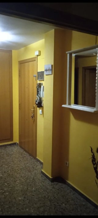 Alquiler vacacional