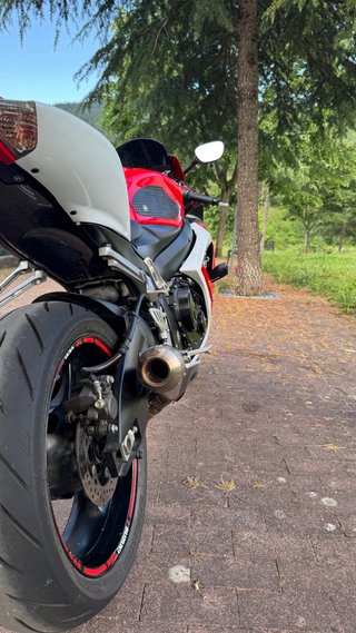 Suzuki GSX-R 600 K6-K7 Roja/Blanca