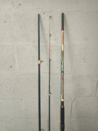 2 Cañas y carrete surfcasting
