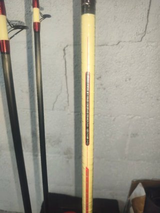 2 Cañas y carrete surfcasting