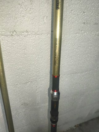 2 Cañas y carrete surfcasting