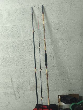 2 Cañas y carrete surfcasting