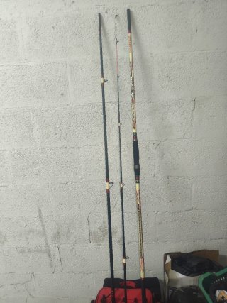 2 Cañas y carrete surfcasting
