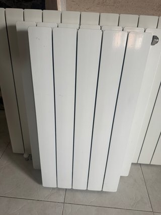 Radiadores Roca Dubal 45