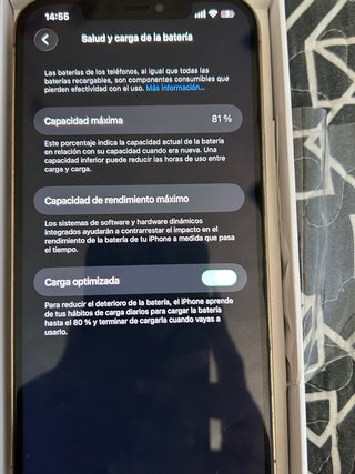 iPhone 12 Pro Max Dorado/Plateado 256 gigas