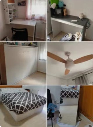 Desalojos y mudanzas