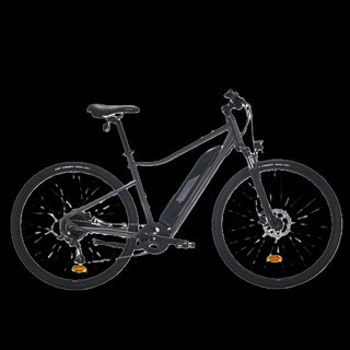 Bicicleta Eléctrica Trekking Riverside 520 E Gris
