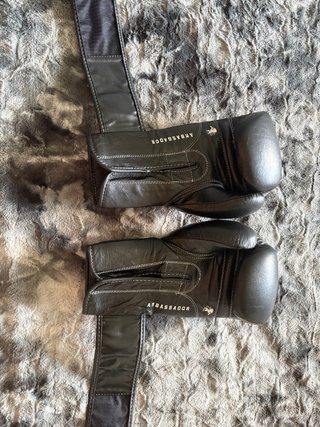 Guantes Boxeo Leone 1947 Ambassador 12 oz