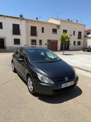 Peugeot 307 2004