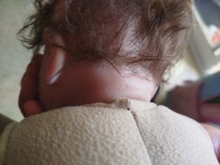 Bebé Reborn Remi-Ashton Cassie Brace