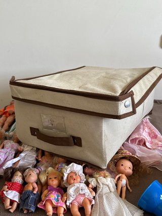 Lote de muñecas Barbie y accesorios