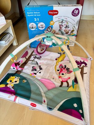 Gimnasio bebe Tiny Love Princess Tales