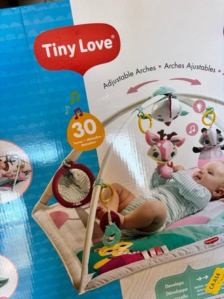 Gimnasio bebe Tiny Love Princess Tales