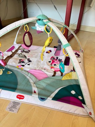 Gimnasio bebe Tiny Love Princess Tales