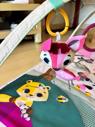 Gimnasio bebe Tiny Love Princess Tales