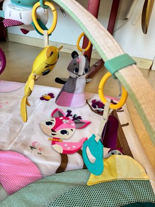Gimnasio bebe Tiny Love Princess Tales