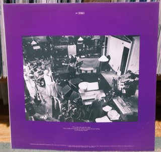 Vinilo Paul McCartney - Flowers In The Dirt