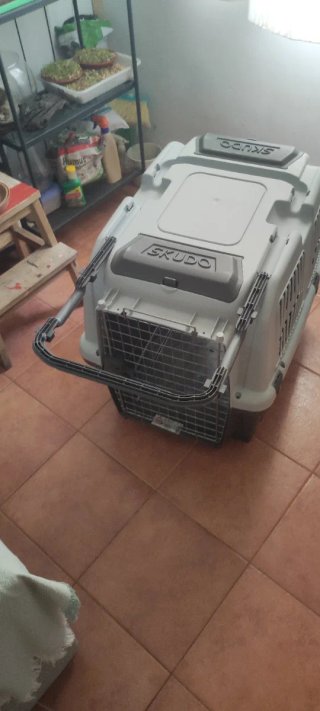 Transportín Perro Skudo 5 Homologado