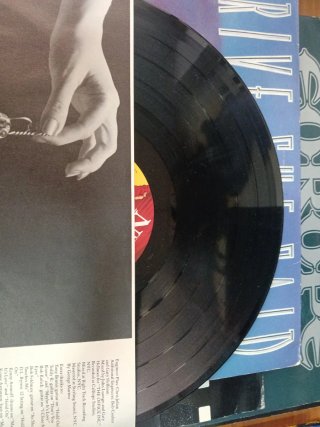 Vinilo Drive, She Said