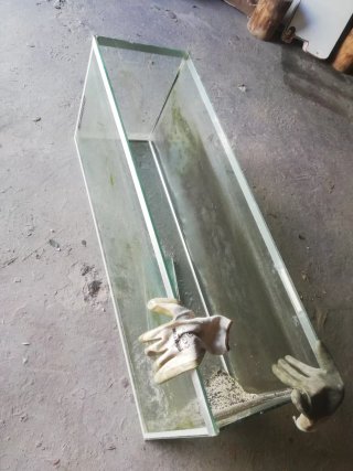 Acuario 100L / Terrario
