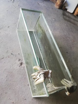 Acuario 100L / Terrario