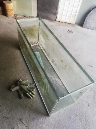 Acuario 100L / Terrario