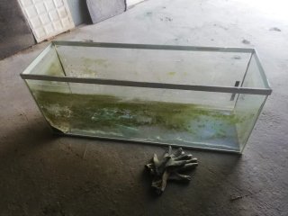 Acuario 100L / Terrario