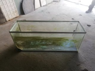 Acuario 100L / Terrario