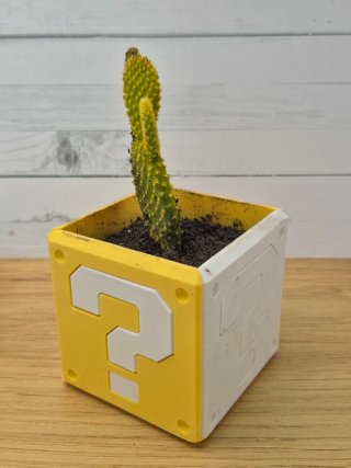 Maceta pequeña hecha en 3d de Super Mario bros