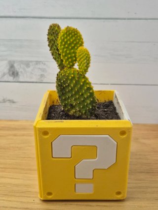 Maceta pequeña hecha en 3d de Super Mario bros