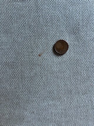 Puff Cama Ikea Vallentuna Beige