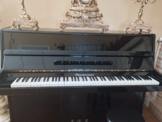 Piano de pared Tchaikovsky