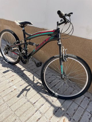 Bicicleta Hogan Montaña Negra