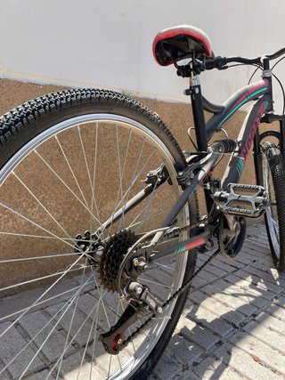 Bicicleta Hogan Montaña Negra