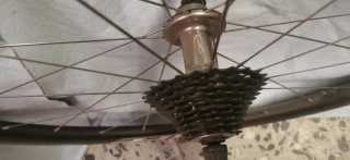 Ruote ZIPP 303 Carbonio Tubeless