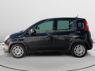 Fiat Panda 1.0 Hybrid 51 kW (70 CV)