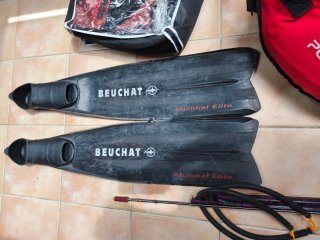 Attrezzatura per Pesca Subacquea: Pinne, Fucile, Boa