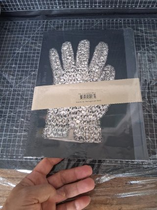Neverland lost un portrait de Michael Jackson