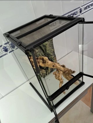 Terrario Exo Terra