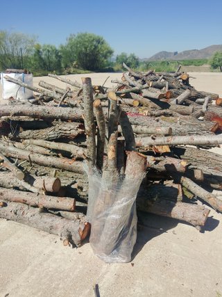 Leña de Pino para Barbacoa