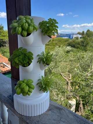 Torre Idroponica Verticale 6 Posti