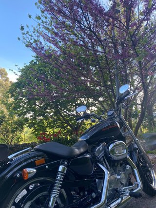 Harley Davidson Sportster Superlow 2012 Negra