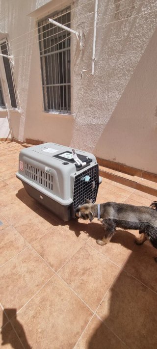 Transportín para mascotas gris