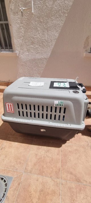 Transportín para mascotas gris