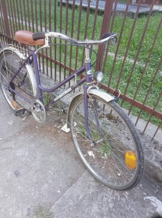 Bicicletta da donna viola