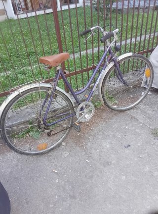 Bicicletta da donna viola