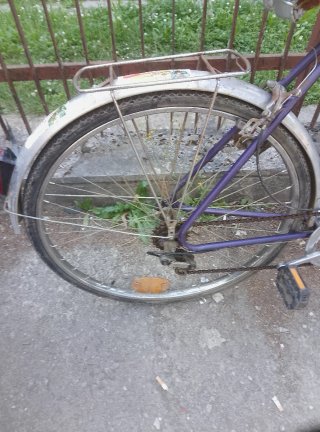 Bicicletta da donna viola