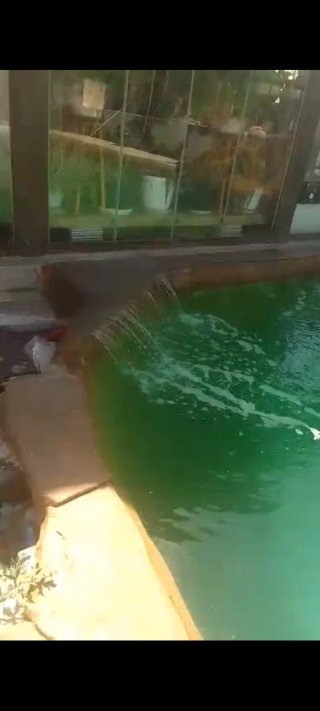 Tobogán y piscina infantil decorada