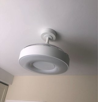 Hoy! Electricista-Ventilador,Lampara de techo /Luz