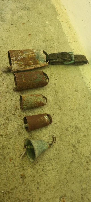 Lote de 5 Campanos antiguos de ovejas/cabras.